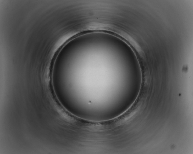 X0000101450885200807071403