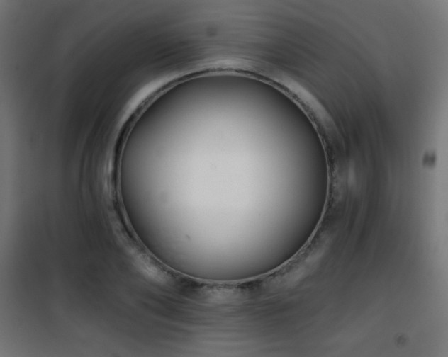 X0000101450886200807071403