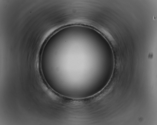 X0000101450888200807071403