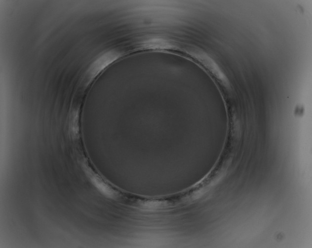 X0000101450889200807071403