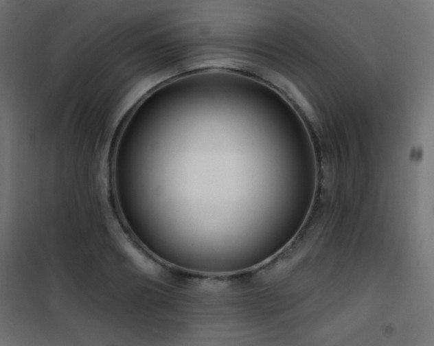 X0000101450890200807071403