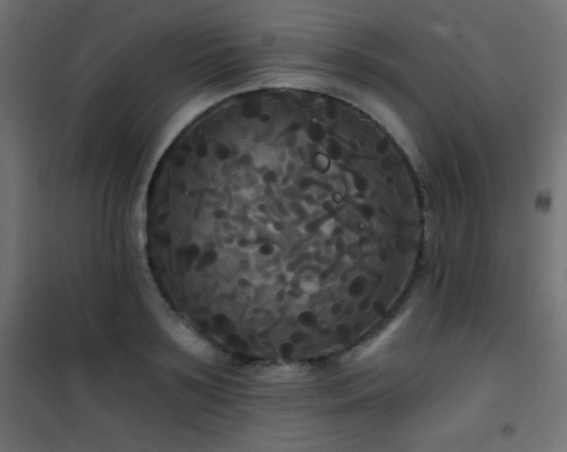 X0000101450891200807071403