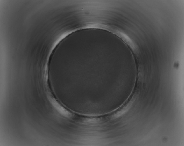 X0000101450892200807071403