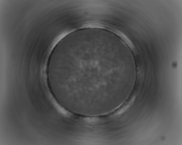 X0000101450893200807071403
