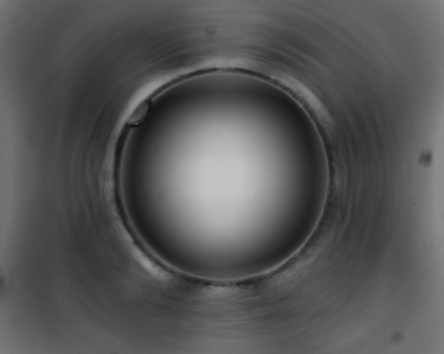 X0000101450894200807071403
