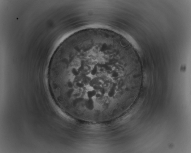 X0000101450895200807071403