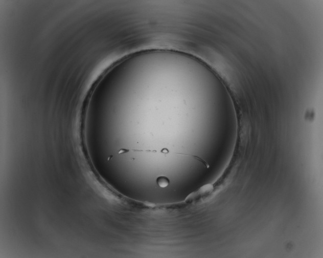 X0000101450896200807071403
