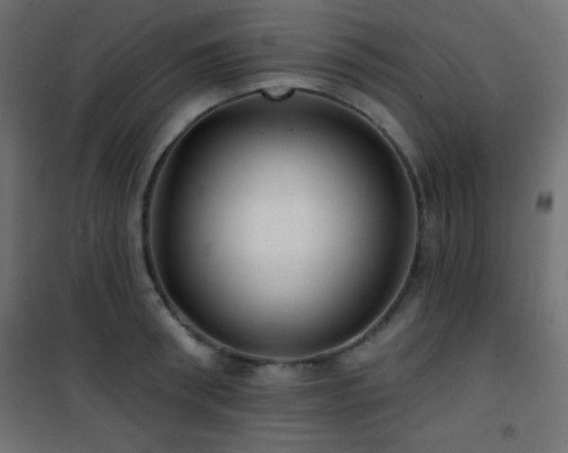X0000101450898200807071403