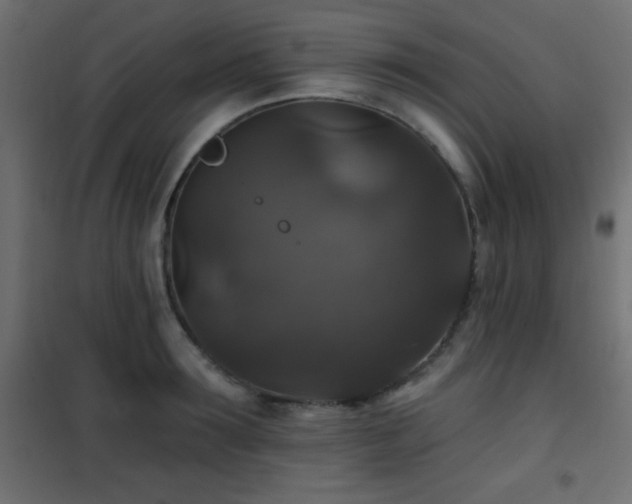 X0000101450899200807071403