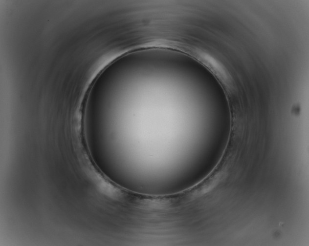 X0000101450900200807071403