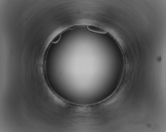 X0000101450901200807071403