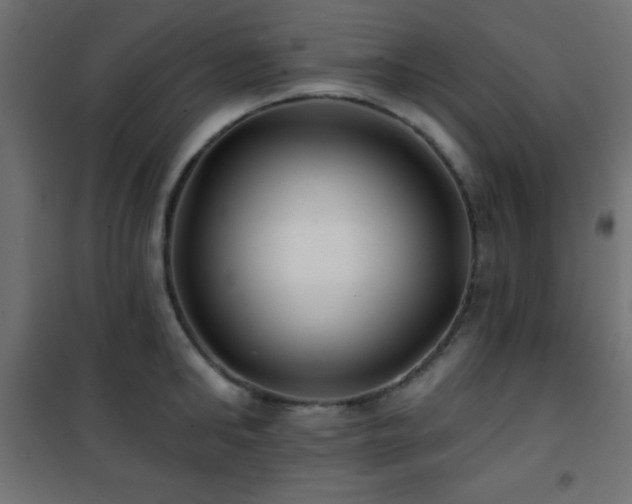 X0000101450902200807071403
