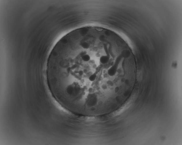 X0000101450903200807071403