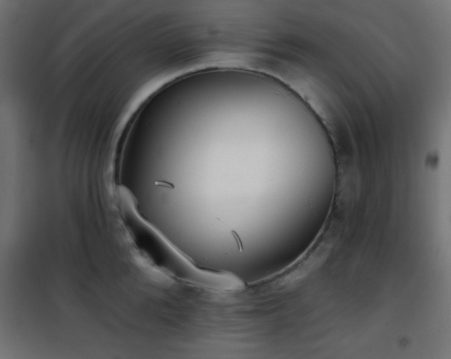 X0000101450904200807071403