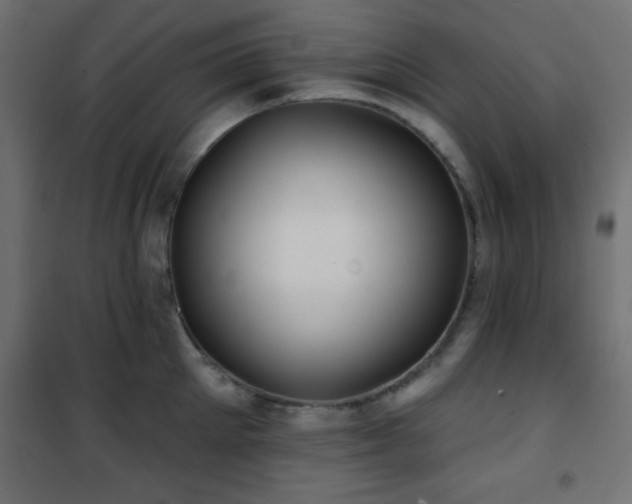 X0000101450905200807071403