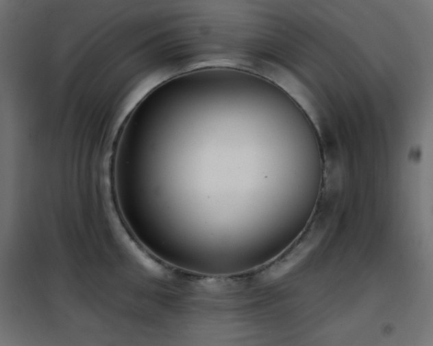 X0000101450906200807071403