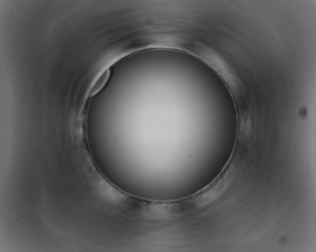 X0000101450908200807071403