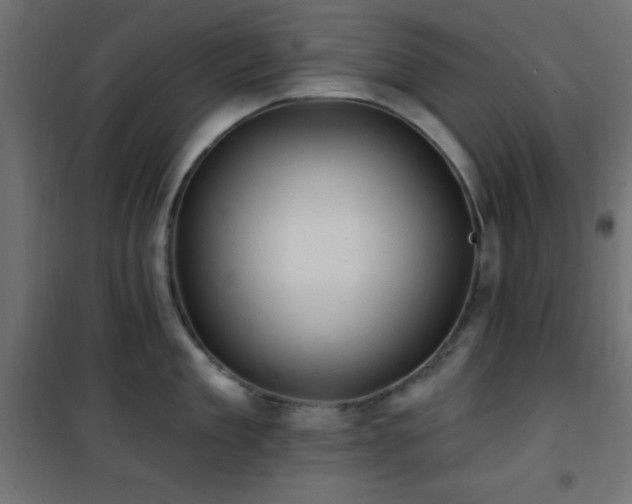 X0000101450909200807071403