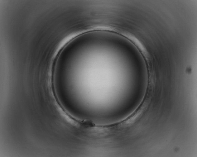 X0000101450910200807071403