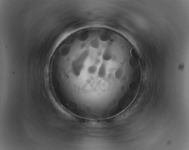 X0000101450911200807071403