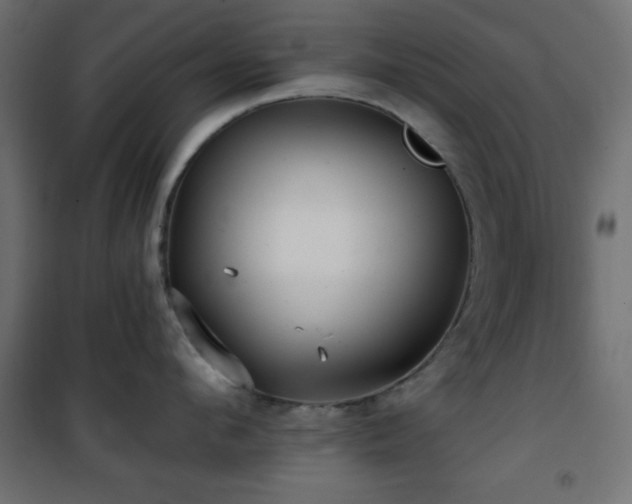 X0000101450912200807071403