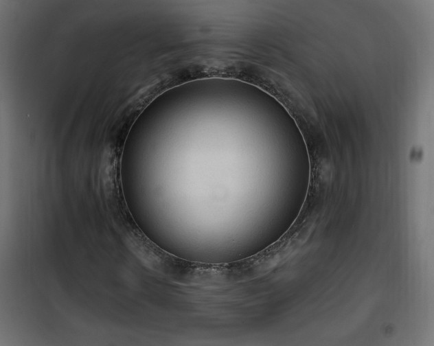 X0000101450914200807071402