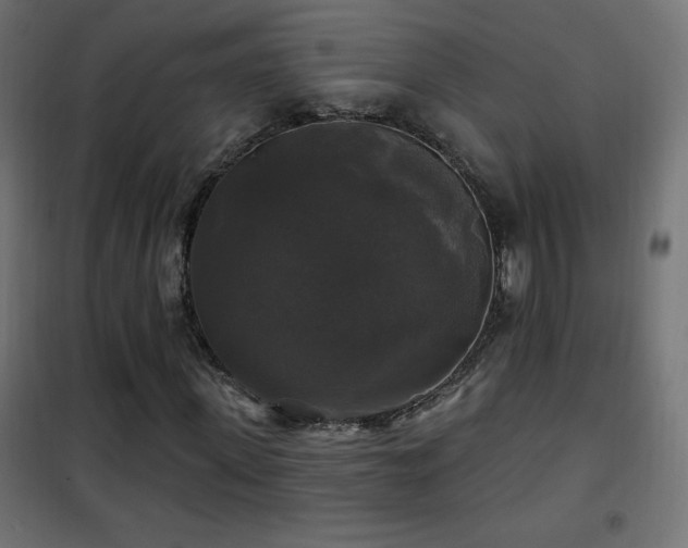 X0000101450915200807071402