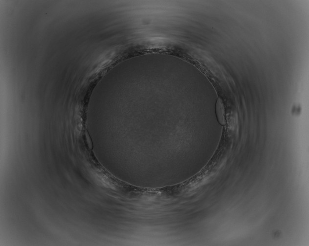 X0000101450916200807071402