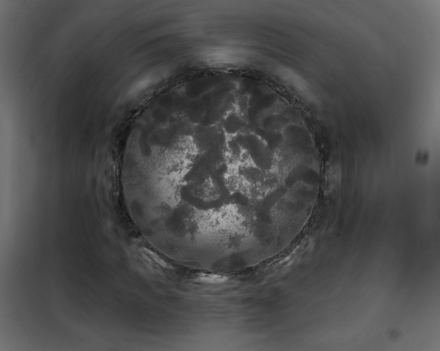 X0000101450917200807071402