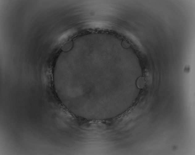 X0000101450918200807071402