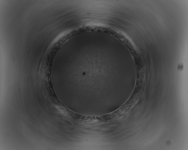 X0000101450919200807071402