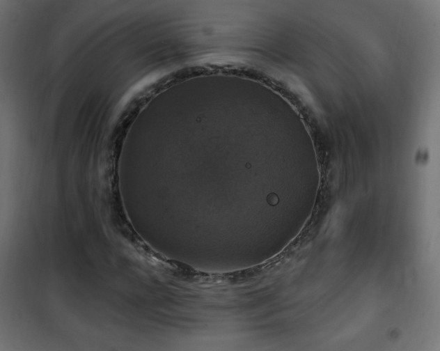 X0000101450920200807071402