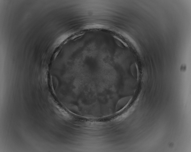 X0000101450921200807071402