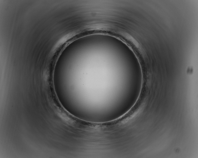 X0000101450922200807071402