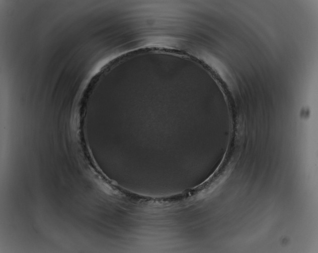 X0000101450923200807071402