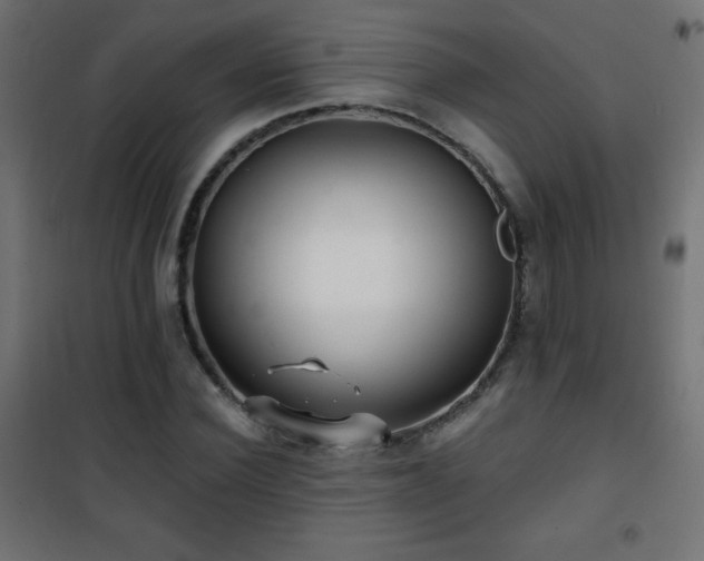 X0000101450924200807071402