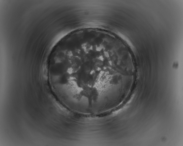 X0000101450925200807071402