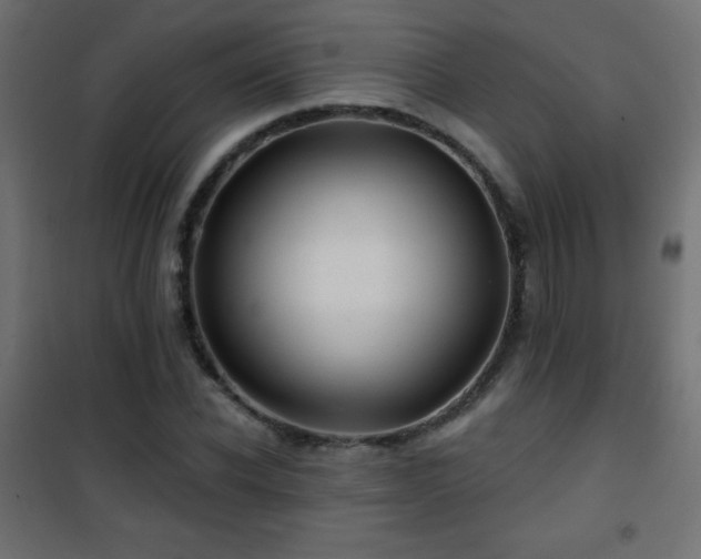 X0000101450926200807071402