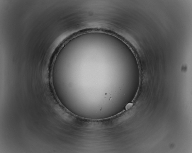 X0000101450927200807071402