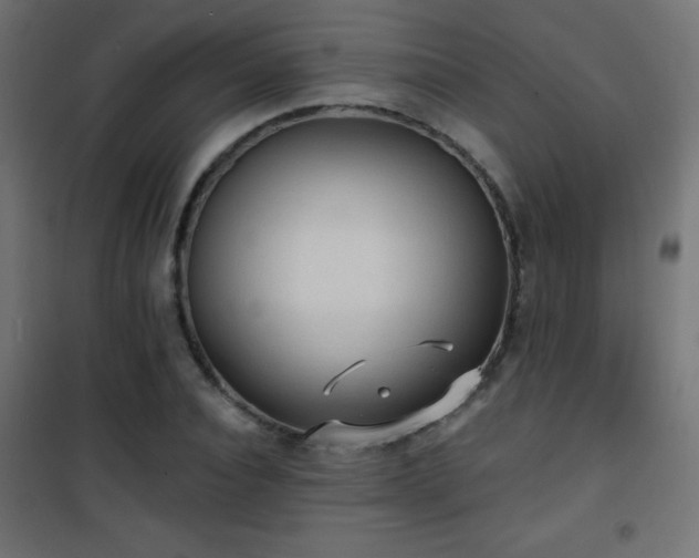 X0000101450928200807071402