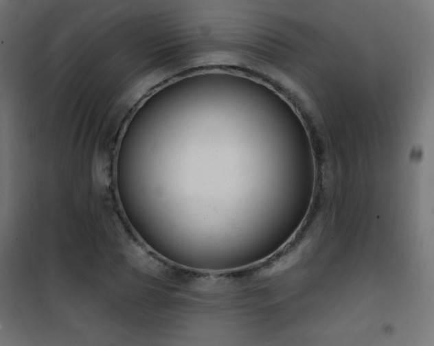 X0000101450929200807071402