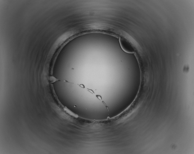 X0000101450930200807071402