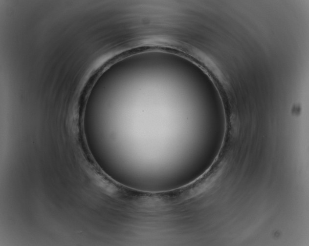X0000101450931200807071402