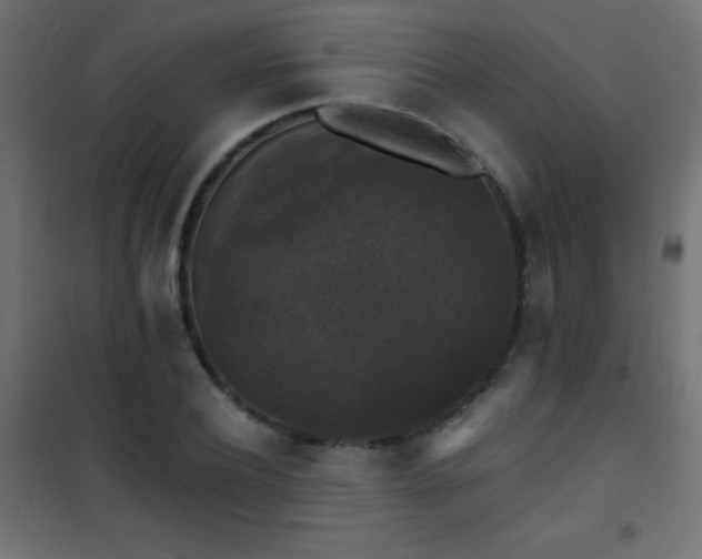 X0000101450932200807071402