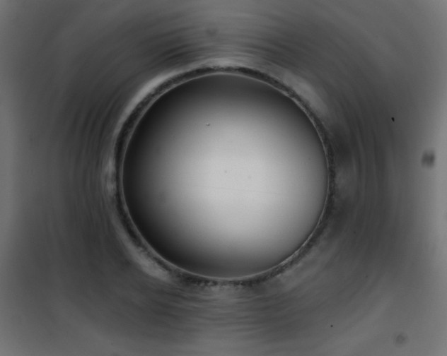 X0000101450934200807071402
