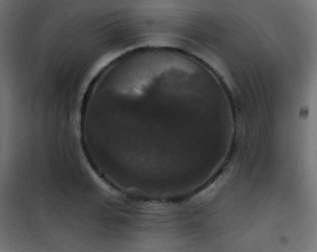 X0000101450935200807071402
