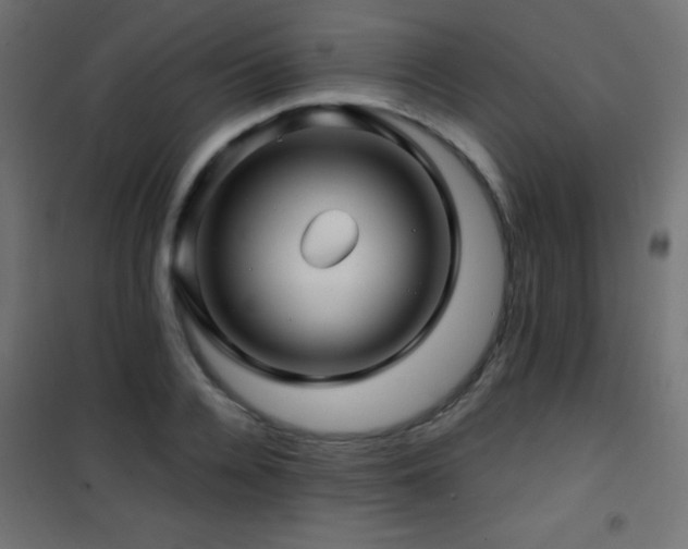 X0000101450936200807071402