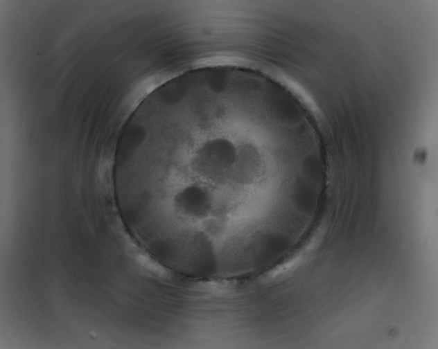 X0000101450937200807071402
