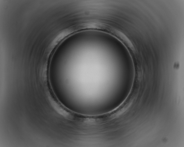 X0000101450938200807071402