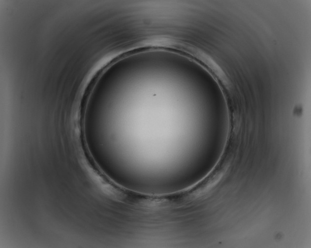 X0000101450939200807071402